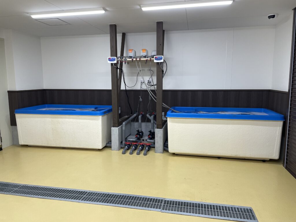 有限会社 樋口厨房