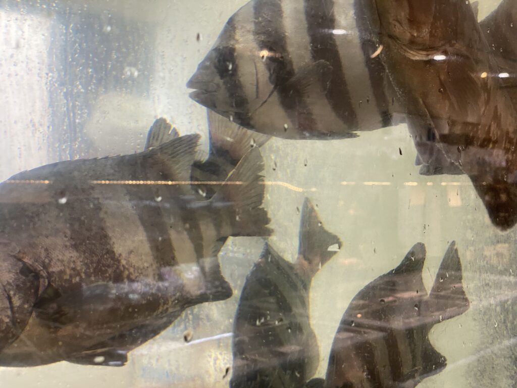 有限会社 樋口厨房